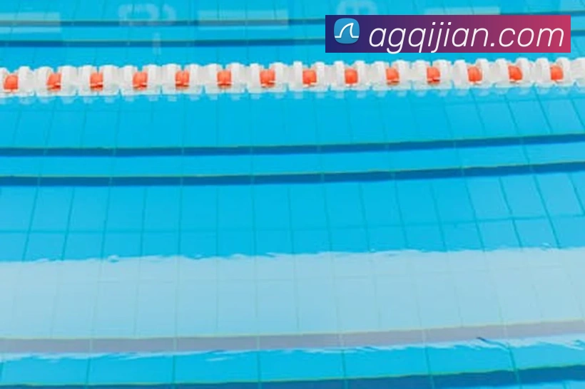 ag百家乐服务体系