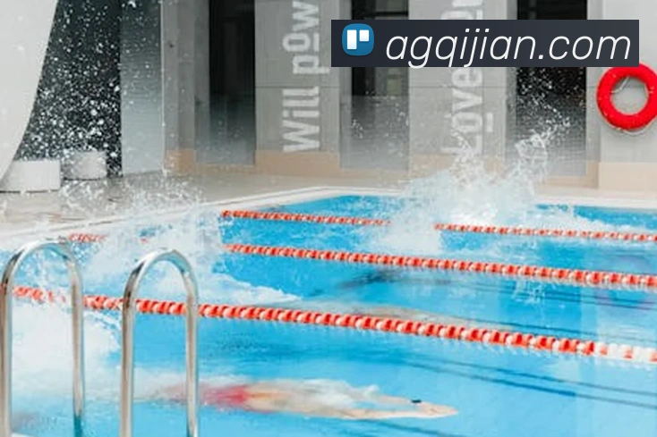 多媒体互动体验